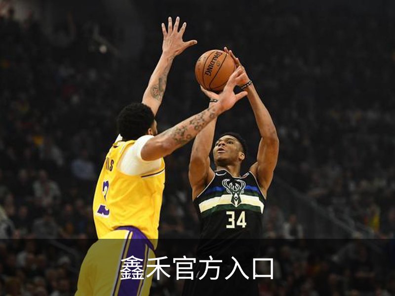 鑫禾官方入口品牌故事