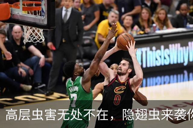 高层虫害无处不在，隐翅虫来袭你准备好了吗？